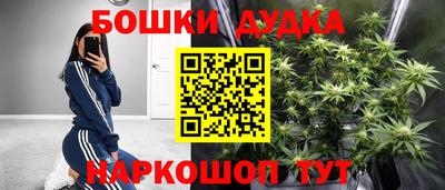 PSILOCYBIN Гусь-Хрустальный